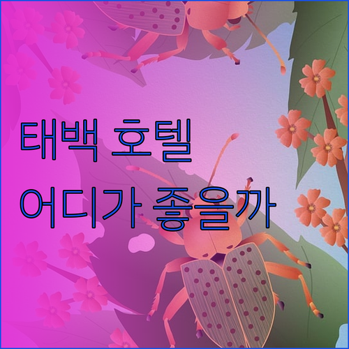 태백 호텔 어디가 좋을까 태백호텔 v