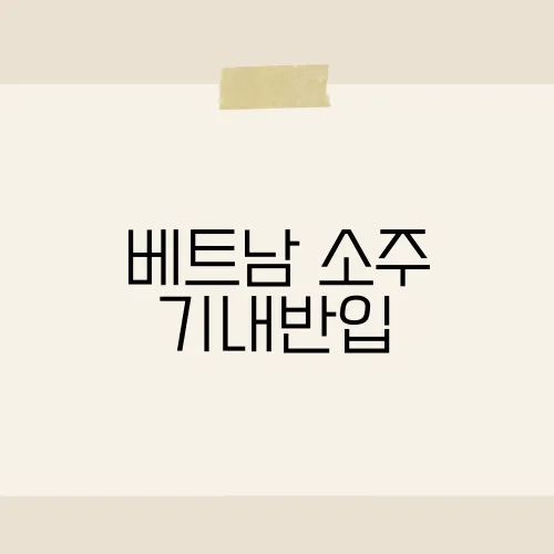 베트남 소주 기내반입, 공항 검색대 통과 실전기