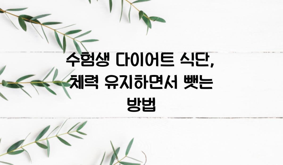 수험생 다이어트 식단