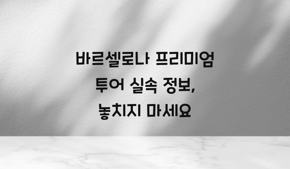 바르셀로나 프리미엄 투어 실속 정보