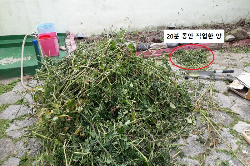  추석 아침 식사 풍경