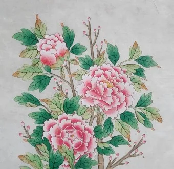 모란 꽃 특성 해설_8