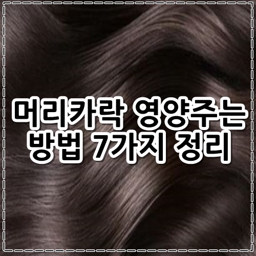 머리카락 영양주는 방법 7가지 정리