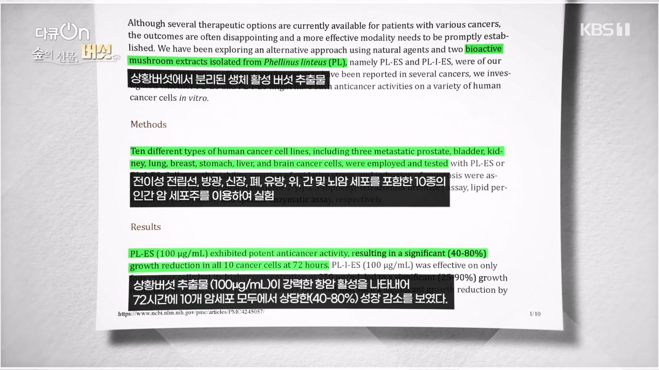 다큐 온.E227.231120p-NEXT.mp4_20231121_203704.633.jpg