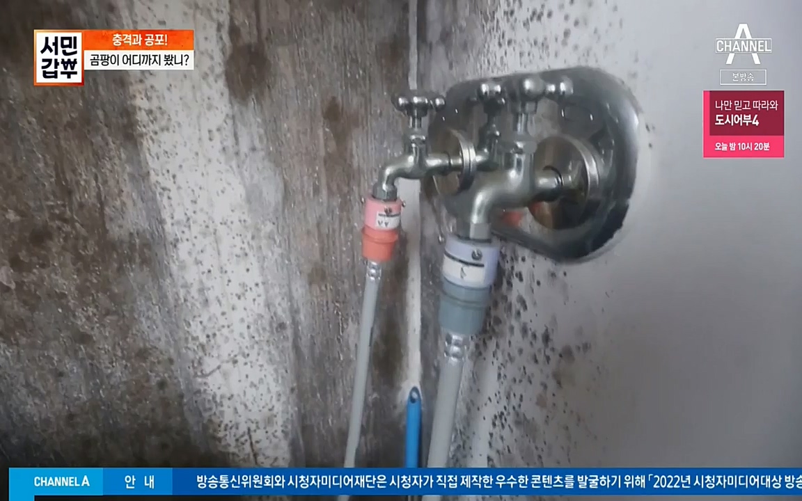 서민 갑부.E393.220724p-NEXT.mp4_20220724_142730.618.jpg