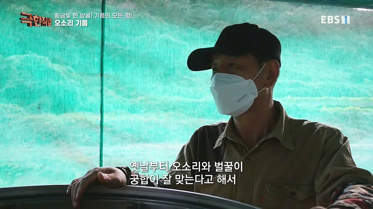 TV - 교육의 중심 EBS황금빛 한 방울! 기름의 모든 것!.mp4_20221031_191545.195.jpg