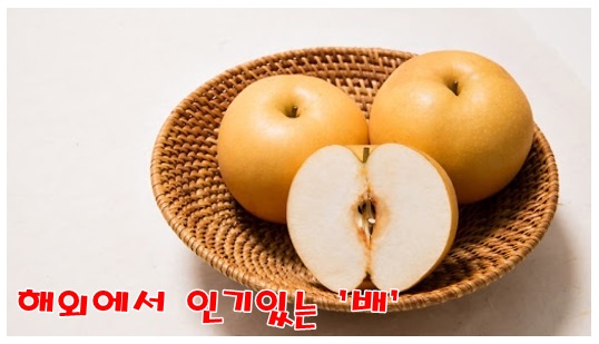  술마시기 전에, 숙취해소에 좋은 것들 정리/회식때 미리 챙기면 좋은 것,과음 후 숙취해소, 속쓰림엔, 속울렁거림예방 등