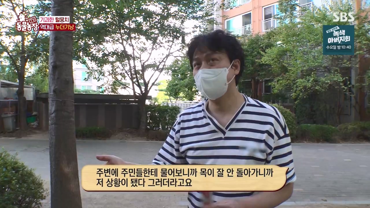 TV 동물농장.E1143.231030p-NEXT.mp4_20231029_164138.623.jpg