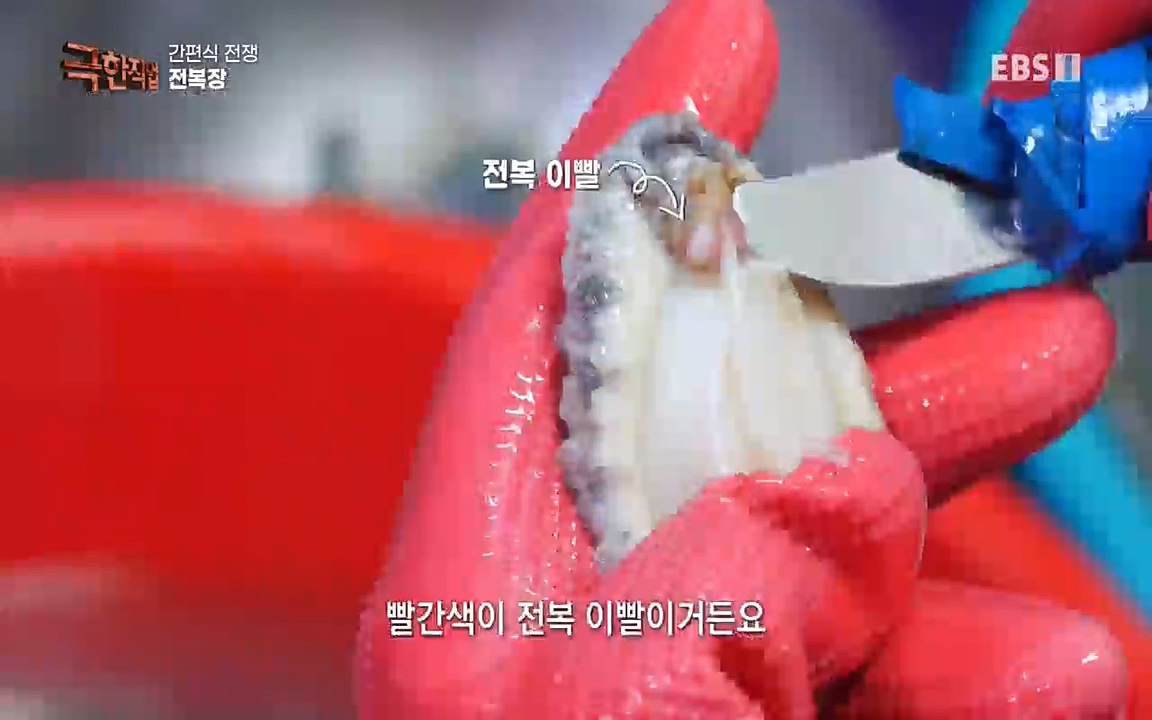 TV - 교육의 중심 EBS간편식 전쟁.mp4_20221002_184830.786.jpg