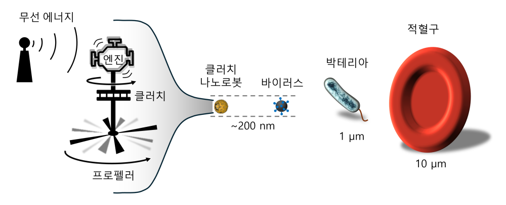 클러치 나노로봇 크기를 나타낸 모식도