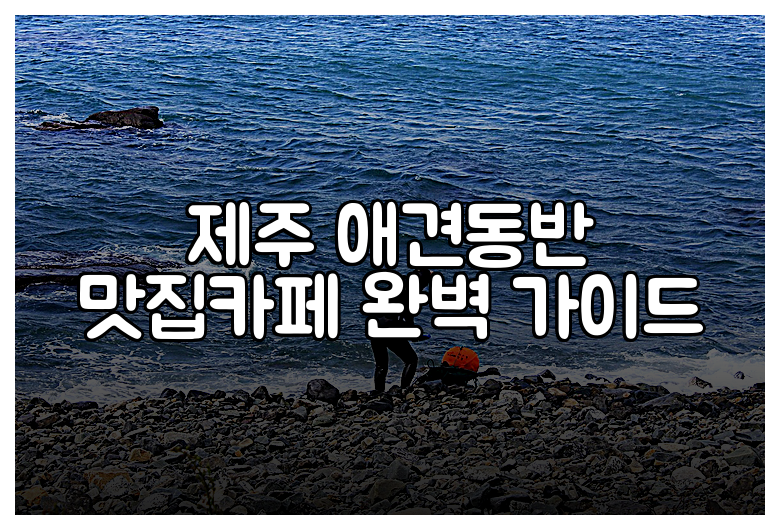 제주 애견동반 맛집카페 완벽 가이드