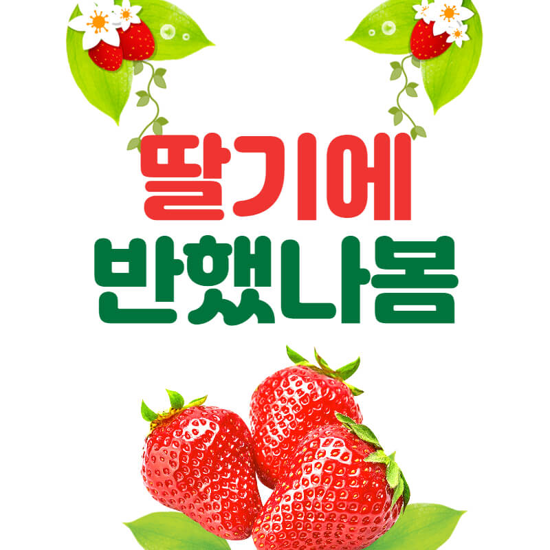 섬네일
