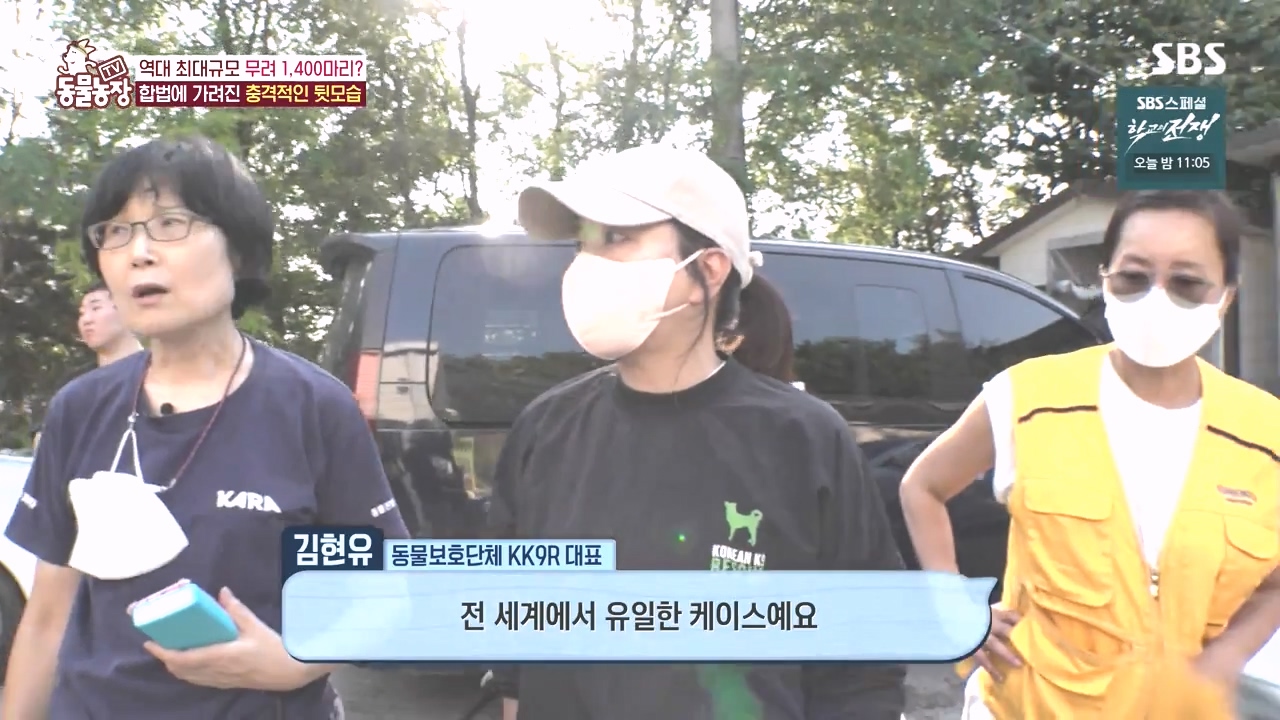 TV 동물농장.E1142.231023p-NEXT.mp4_20231022_172051.197.jpg