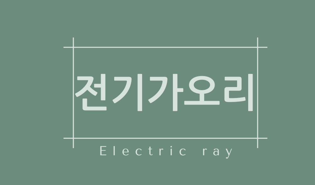 전기가오리(Electric ray)