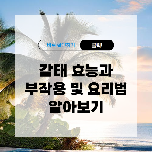 감태 효능과 부작용 및 요리법 알아보기