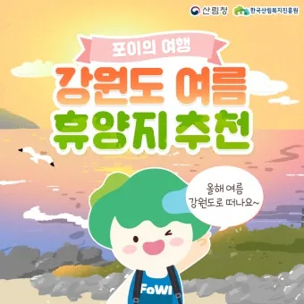 여름 국내 여행지 추천 베스트 모음 완벽 가이드북_4