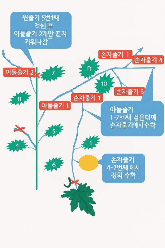 정석대로 하면 확실히 수확량이 많아지고&amp;#44; 열매 품질도 좋아져요. 