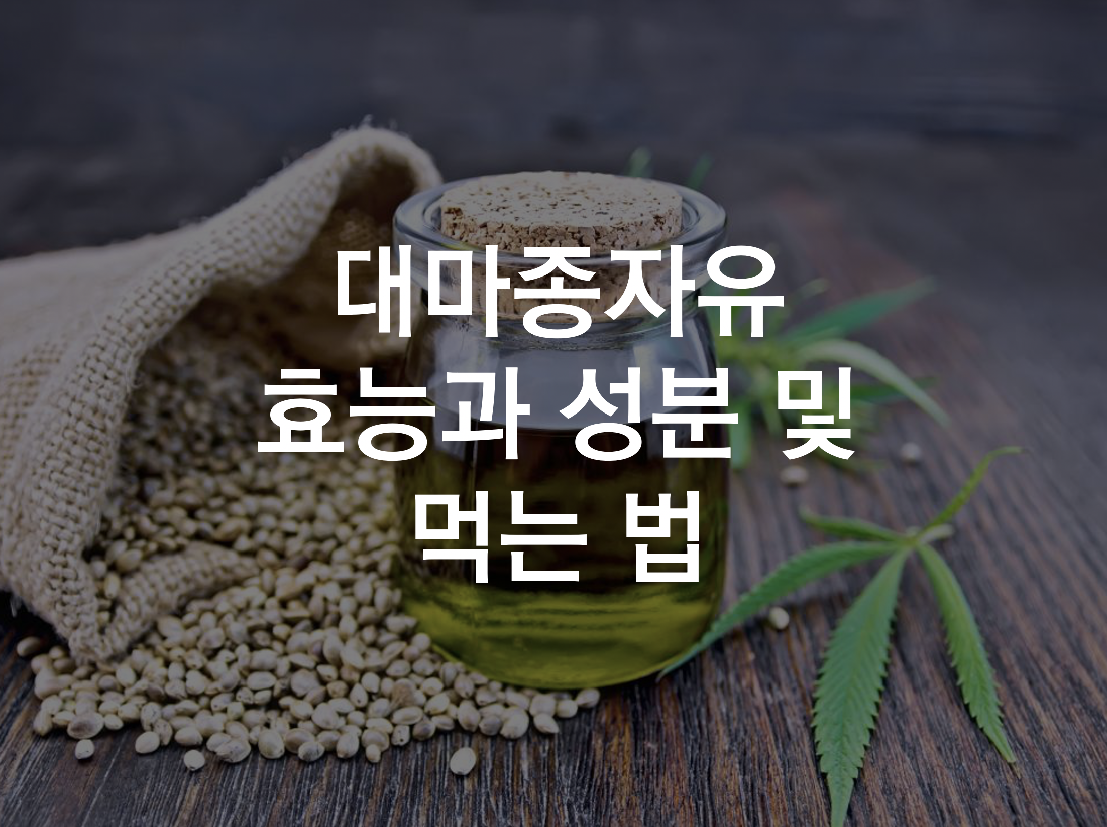  해외에서 주목 받는 대마종자유가 대체 뭐길래? 대마종자유 효능과 먹는법 안내