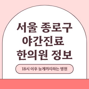 서울 종로구 야간진료 한의원 병원 (18시 이후 늦게까지하는 병원)