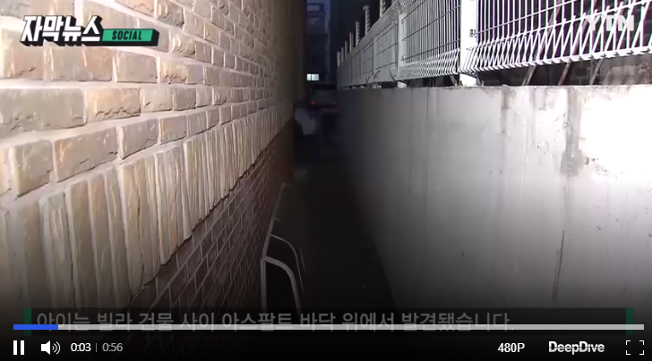  탯줄달린 상태의 신생아 시신 나체로 발견 고양시 영아살해 사건