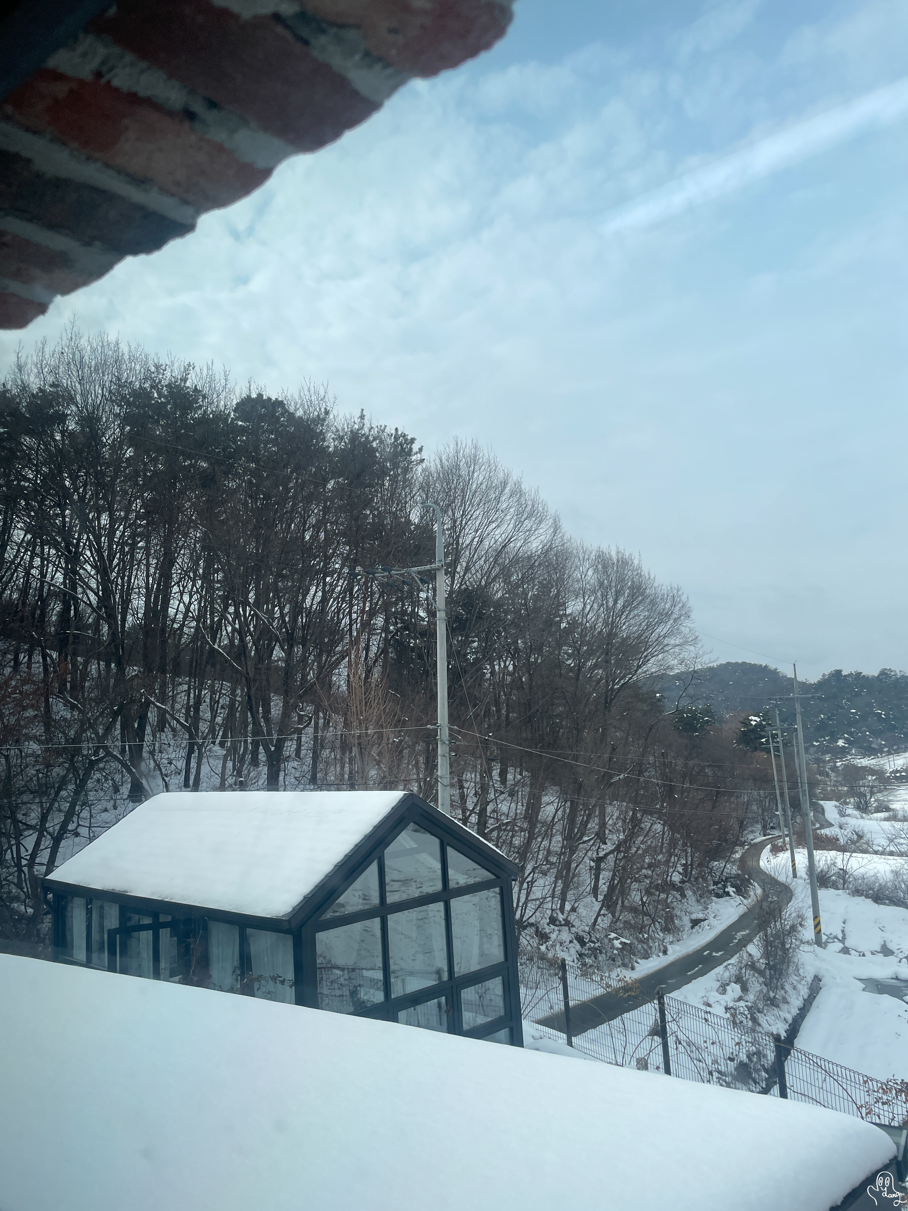 숲단비 이미지