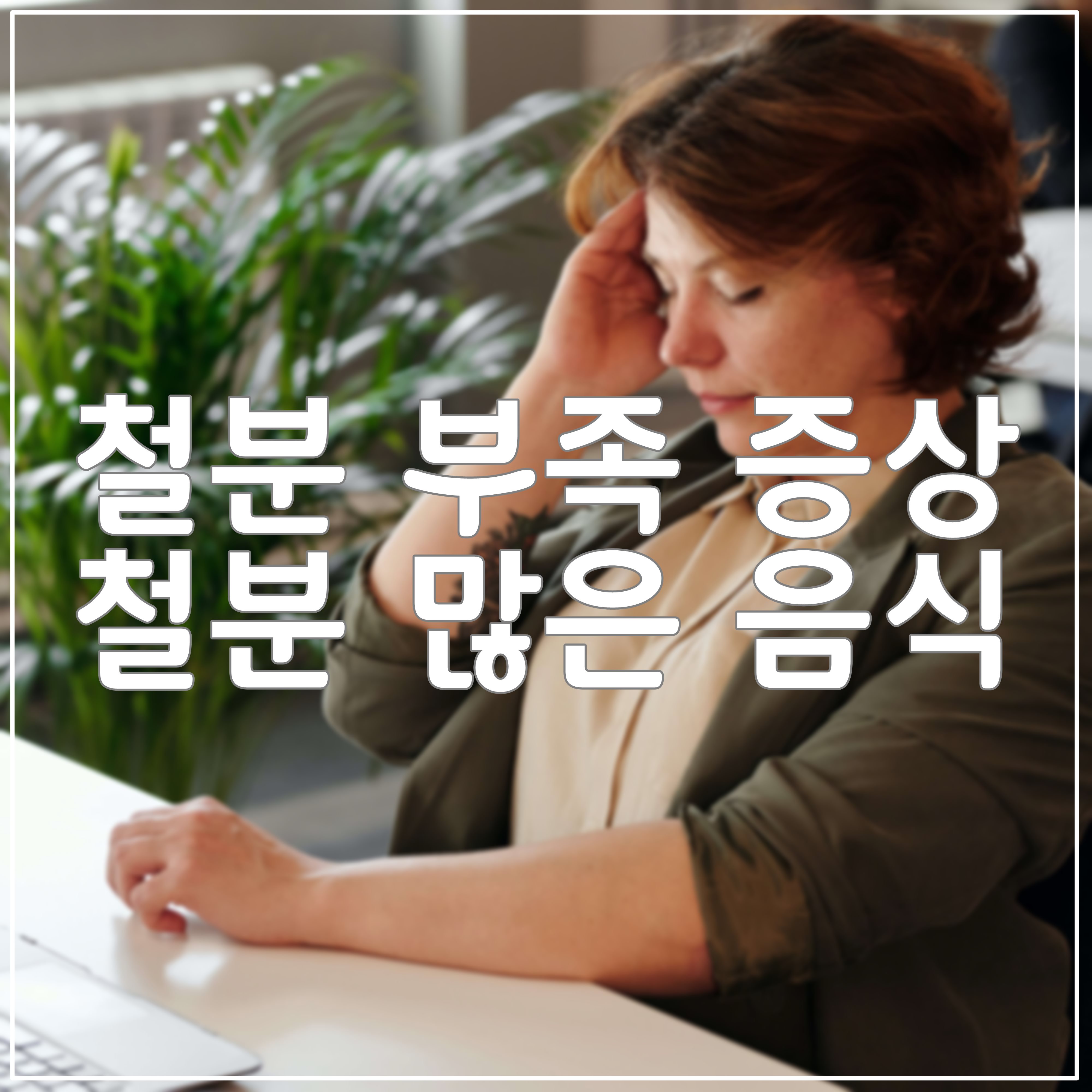  철분 부족 증상과 철분 많은 음식