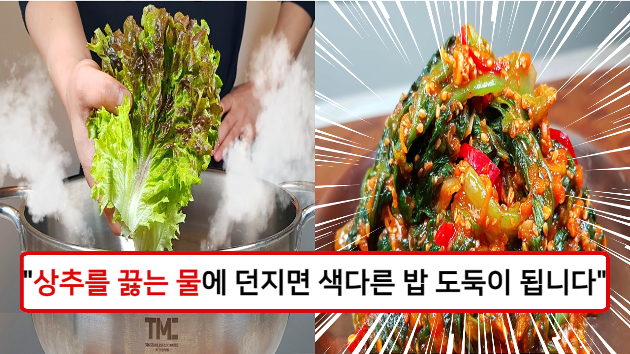“쌈 싸 먹다 남은 상추는 끓는 물에 던져버리세요!” 간단하면서도 새콤달콤 맛있는 상추나물을 만드는 방법