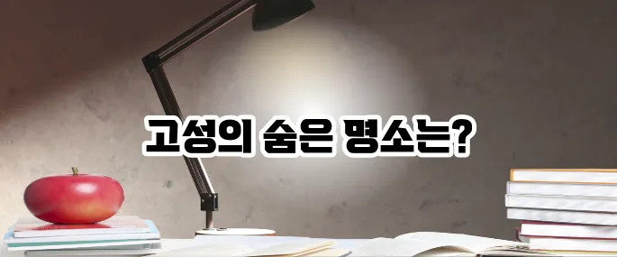 고성 가볼만한곳 베스트10 동해 뷰 여행지 추천