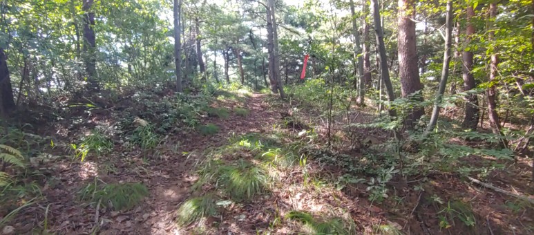 제진검문소 - 통일전망대 출입신고소 해파랑길 50코스 : 12