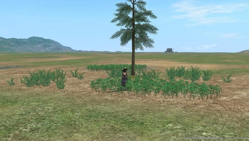 img.jpg