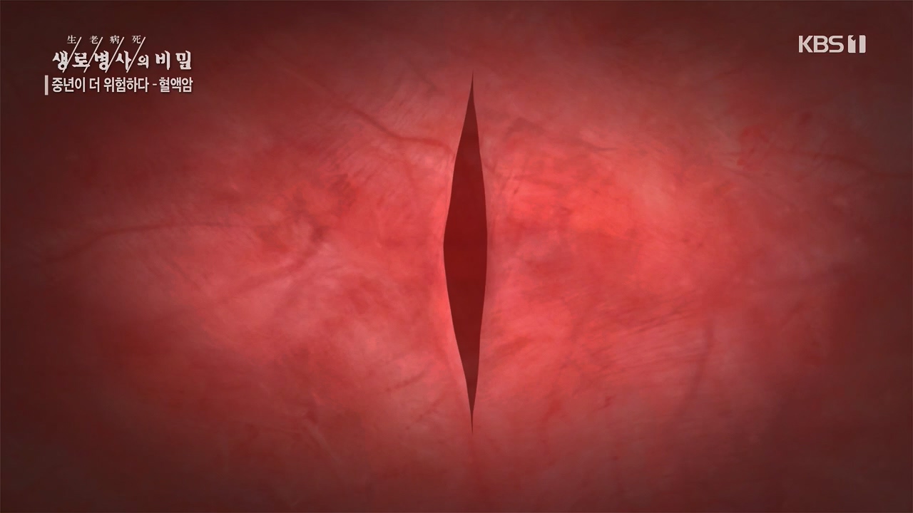 생로병사의 비밀.E868.230511p.H264-F1RST.mp4_20230511_201631.513.jpg