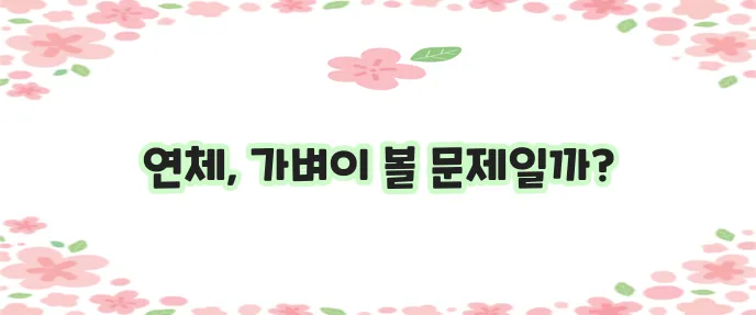 연체의 의미와 위험성 대출 관리 정말 중요합니다