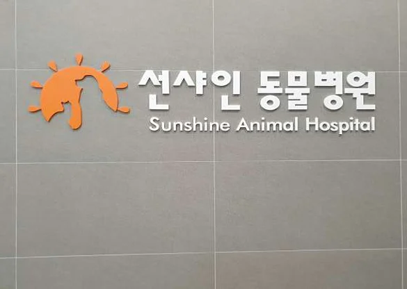 선샤인동물병원
