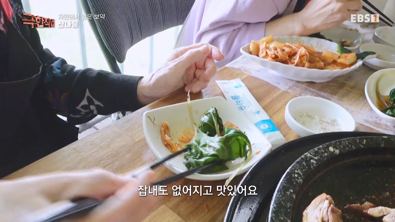 TV - 전 국민의 평생학교 EBS자연에서 얻은 보약, 상황버섯과 산나물, 쌍화차.mp4_20240615_172251.854.jpg