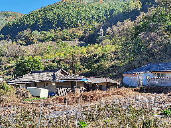 강원도 산촌 풍경 사진