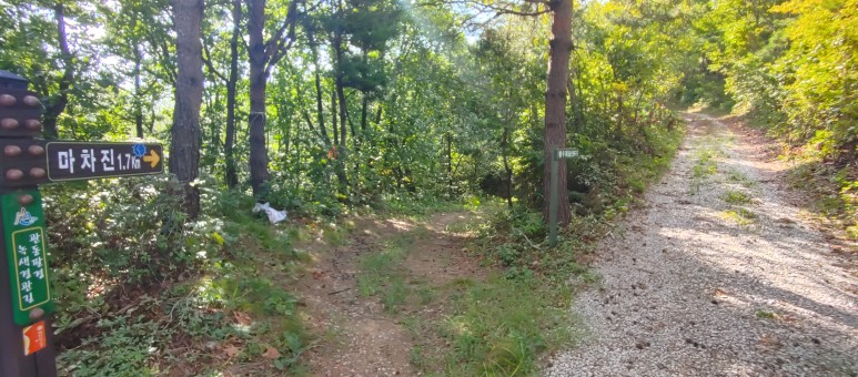 제진검문소 - 통일전망대 출입신고소 해파랑길 50코스 : 5