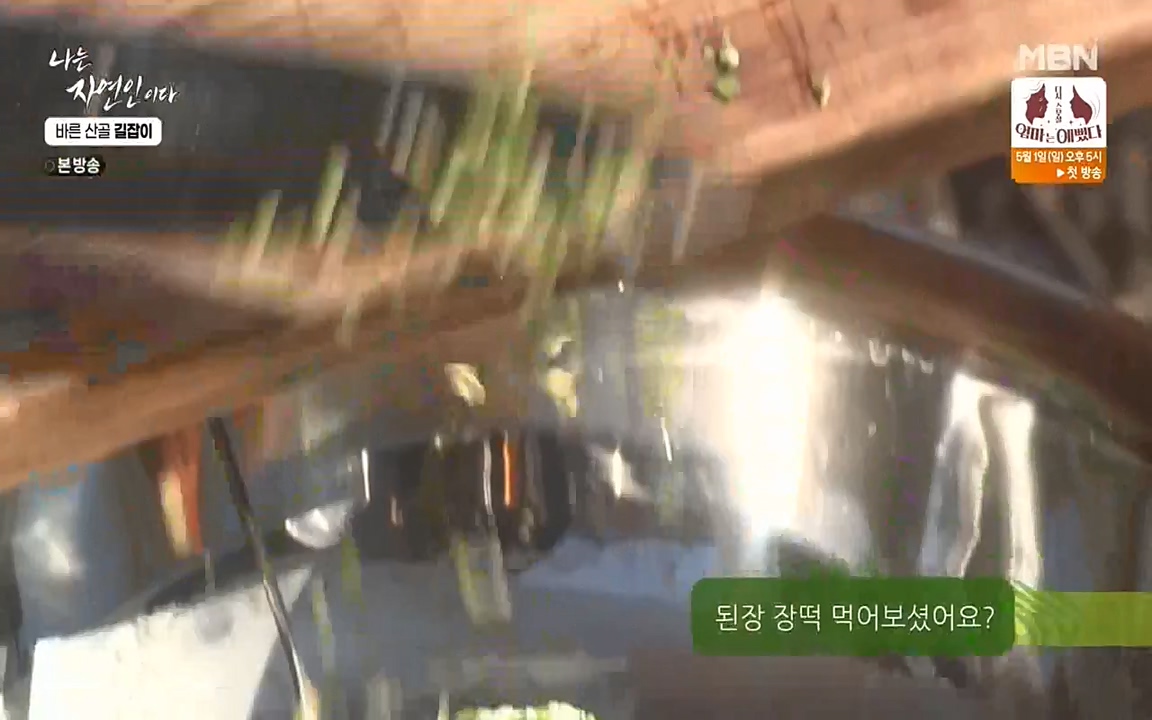 나는 자연인이다.E499.220428p-NEXT.mp4_20220428_180010.236.jpg