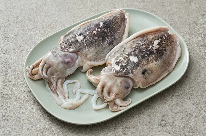 갑오징어 손질법 제철 맛있게 먹는 방법_3