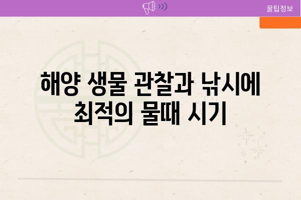 해양 생물 관찰과 낚시에 최적의 물때 시기