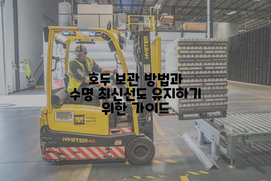 호두 보관 방법과 수명 최신선도 유지하기 위한 가이드