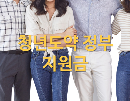 청년도약 정부지원금