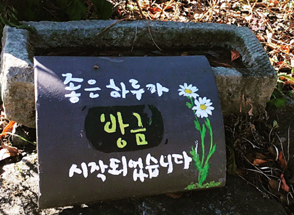 곡성 가볼만한곳