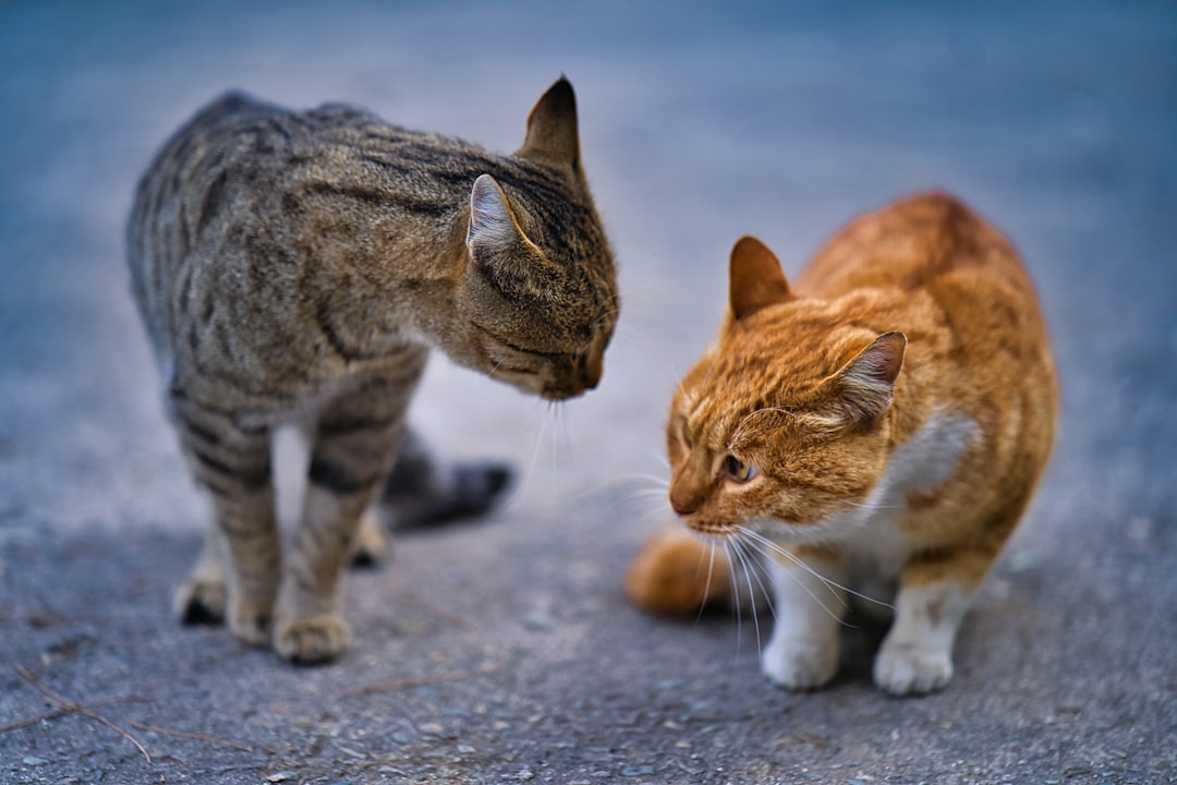 Negotiation.