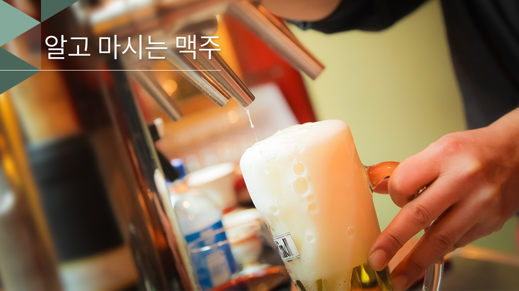 맥주의 종류를 알아보자!