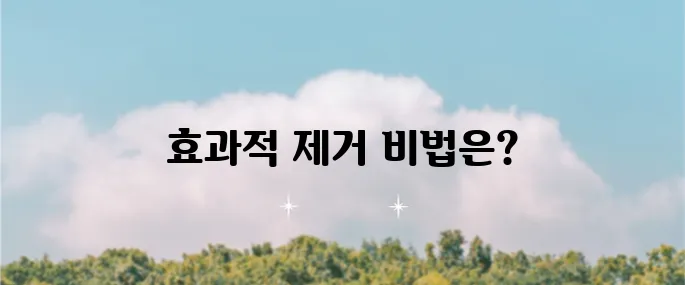 입술 자국 지우기 방법과 멍 제거 팁을 지금 만나보세요!