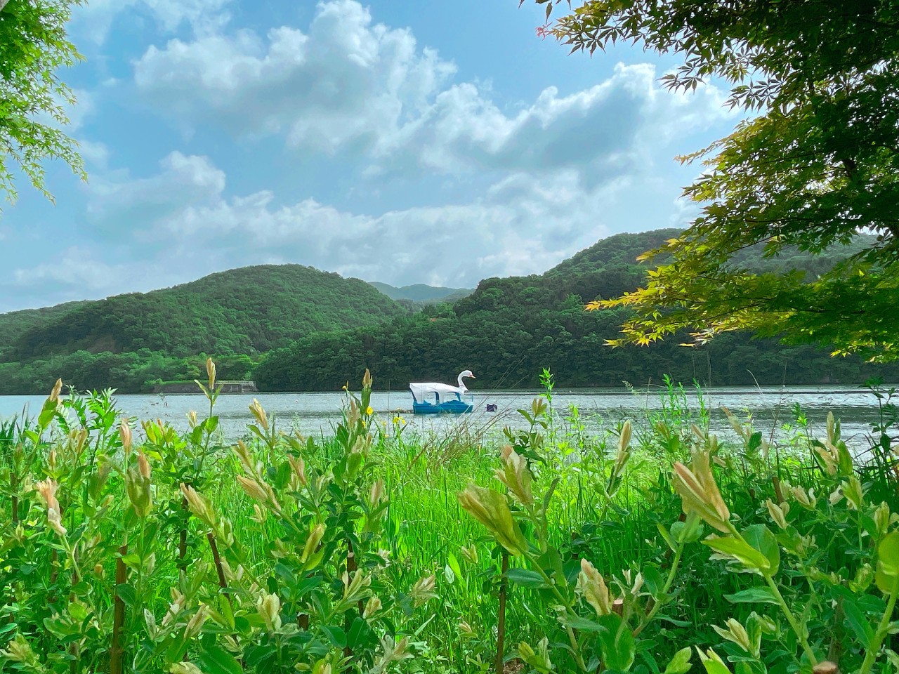 춘천 남이섬