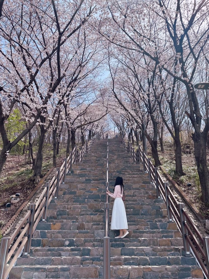 침산공원