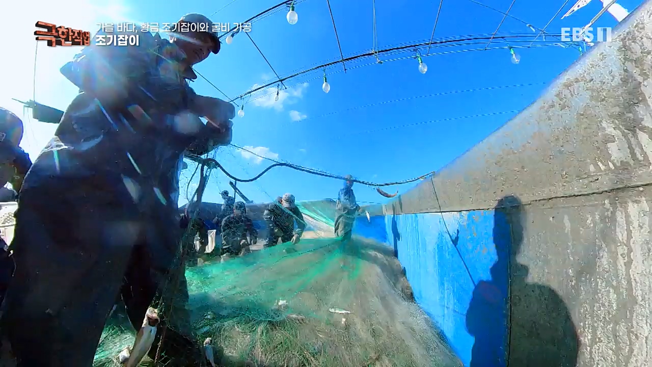 TV - 교육의 중심 EBS가을 바다 황금 조기잡이와 굴비 가공.mp4_20221122_195433.209.jpg