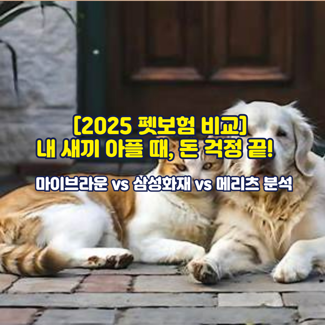 [2025 펫보험 비교] 내 새끼 아플 때, 돈 걱정 끝! 마이브라운 vs 삼성화재 vs 메리츠 분석