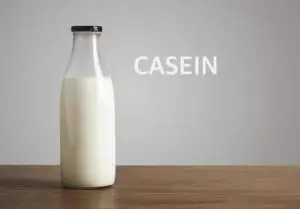  카제인(Casein)의 충격적인 효능!! 당신은 진짜로 알고 있나요?